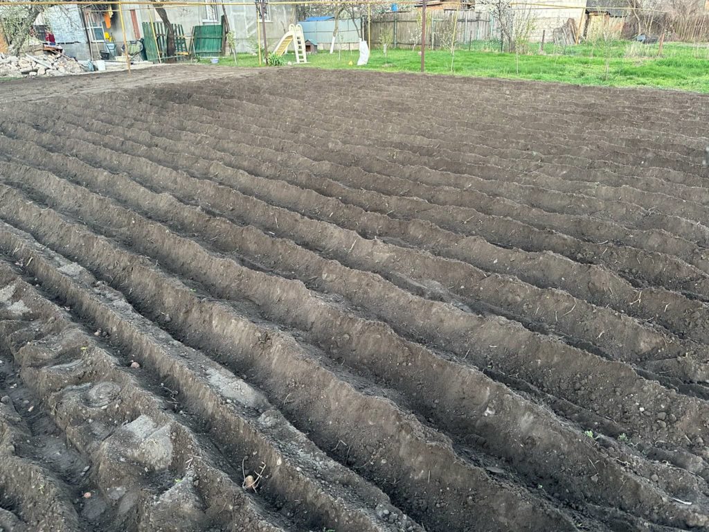 A ploughed field ready for planting